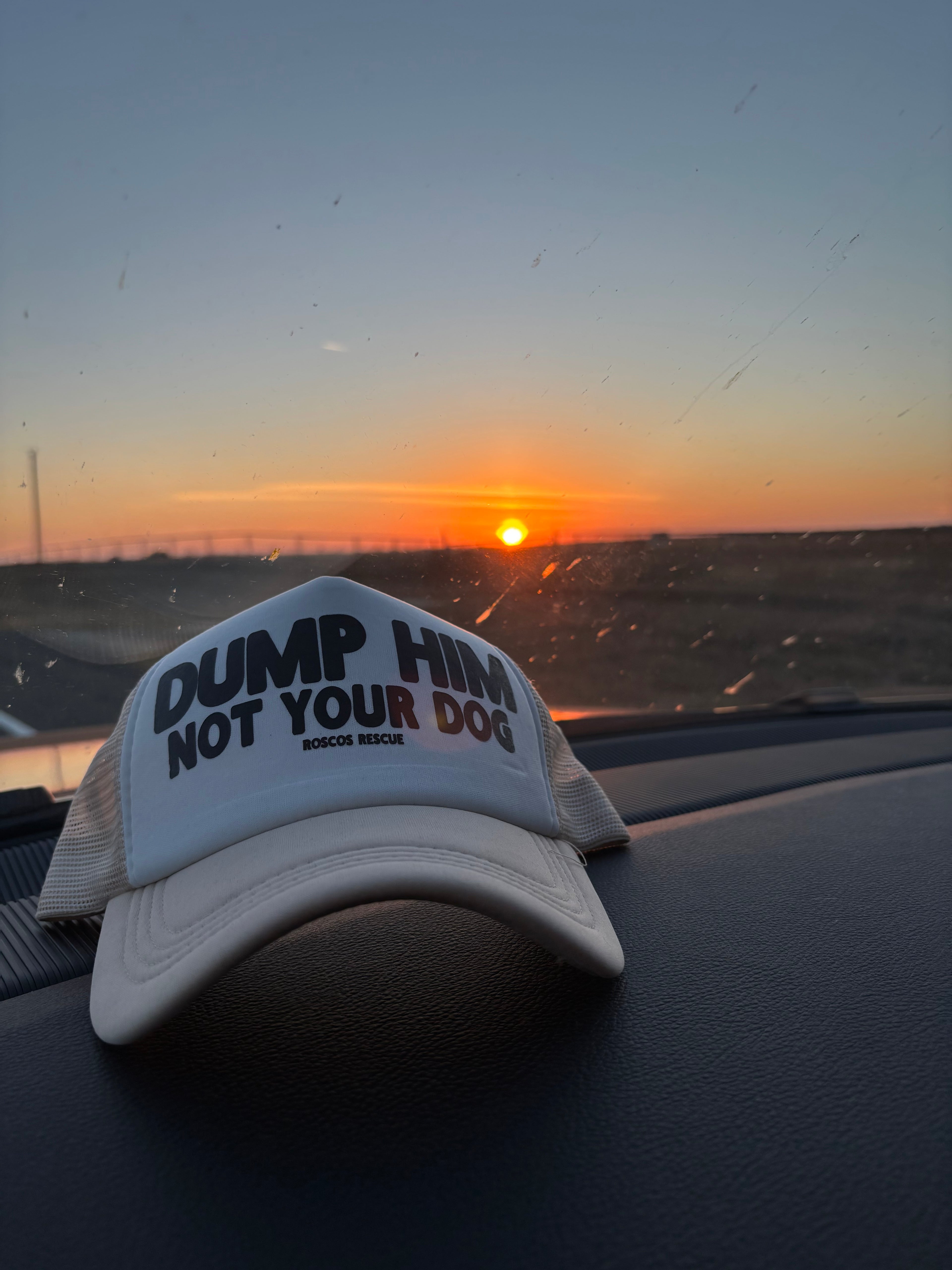 Dump Him hat
